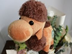 -新疆沙湾大盘鸡(重师店)