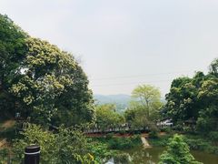-天鹿湖森林公园