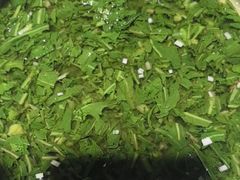 -三道菜(明堂公园店)