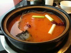 -重庆乌鱼庄·龙滋鲜(青羊大道店)