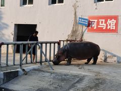 -宿豫区运河湾森林动物园