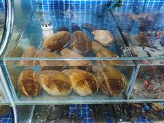 -蟹谢蒸鲜自助餐厅