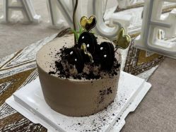 点击看大图 -安琪朵朵独栋花园月子中心