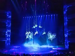 -水秀国际大剧院