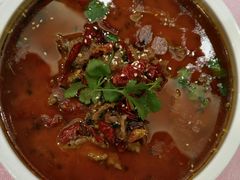 水煮牛肉-金八仙酒店