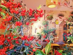 -萤火虫咖啡(后海店)