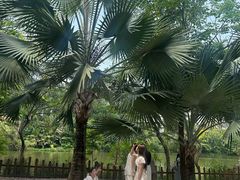 -西双版纳傣族园