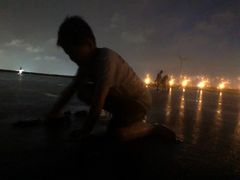 -奉贤海滩
