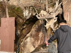 -福建泉州仙公山风景名胜区