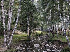 -喀纳斯禾木山庄