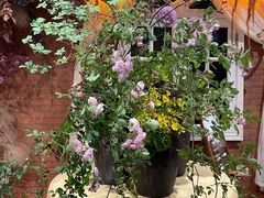 -叶叶菩提·晋福宫