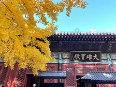 -红螺寺