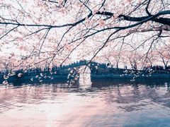 -无锡新湖铂尔曼大酒店