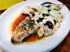 鲈鱼-金苑酒家·客家菜·广东老字号(万象店)