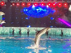 -海合安青岛极地海洋公园