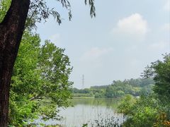 -翠湖国家城市湿地公园