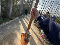 -前小桔亲子创意农场·草莓采摘·露营烧烤