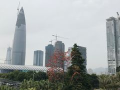 -深圳湾木棉花酒店