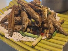 -千岛湖小鱼儿·淳安匠心农家菜