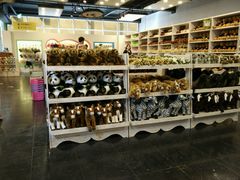 android_upload_pic-济州岛泰迪熊博物馆