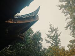 -杭州半山国家森林公园