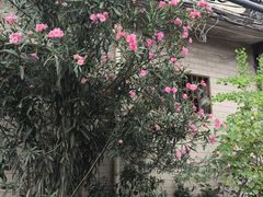 -西安化觉巷清真大寺