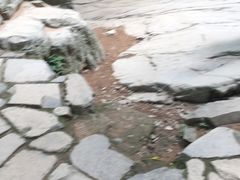 -浙北大峡谷