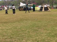 -九科绿洲