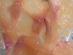 -向外鱼乐·土菜·虹鳟鱼