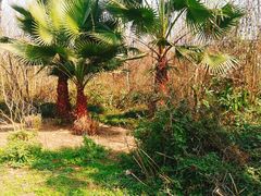 -桤木河湿地公园