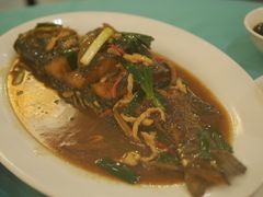 红烧海鲤鱼-银泰阳光度假酒店-海悦轩中餐厅(海花路店)