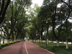 -南昌青山湖风景区