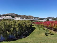 -山东大学(兴隆山校区)