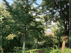 -北京西山国家森林公园