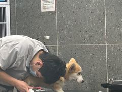 -宠物家(大兴旧宫店)