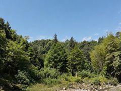 -青城山