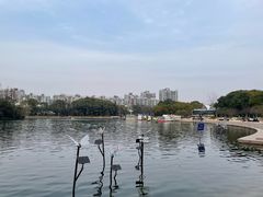 -新江湾城公园