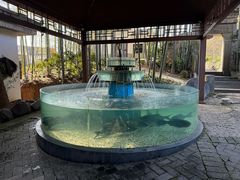 -木子山庄·安徽省老字号·中国炖锅宴