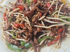 -张鲫鱼家常菜