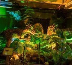 -恐龙探索乐园(磁器口店)