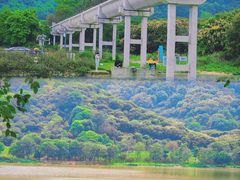 -风云岭森林公园