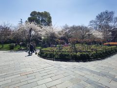 -堤角公园