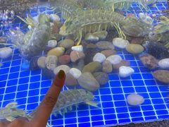 -熙瓏里(万科店)