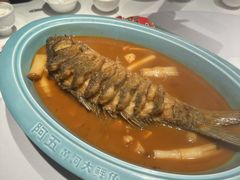 -阿五黄河大鲤鱼(英协路店)