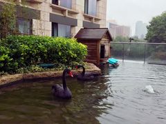 -行者书屋大堂吧 ·下午茶(南京圣和府邸酒店)