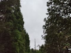 -武陵山森林公园