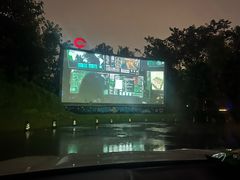 -枫花园汽车电影院(朝阳公园店)