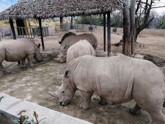 -西安秦岭野生动物园