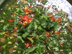 -波密野生菌王酒家
