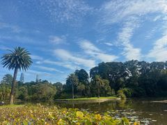 -墨尔本皇家植物园